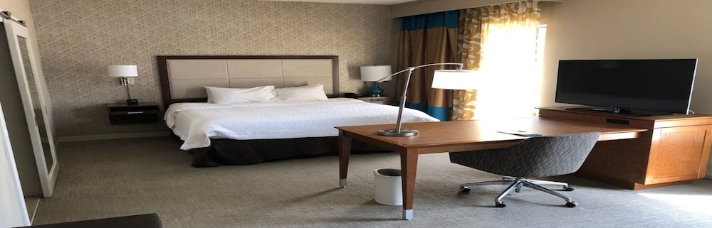 Hampton Inn And Suites Tampa Busch Gardens Area 43/46