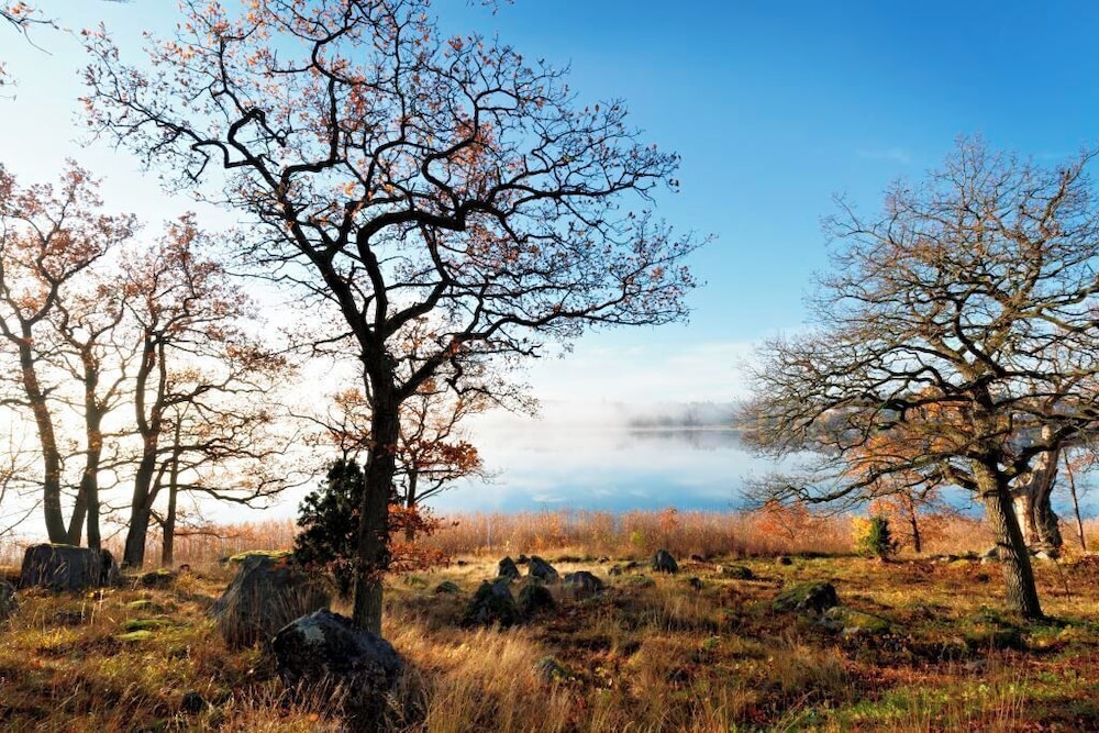 Bergendal 42/50