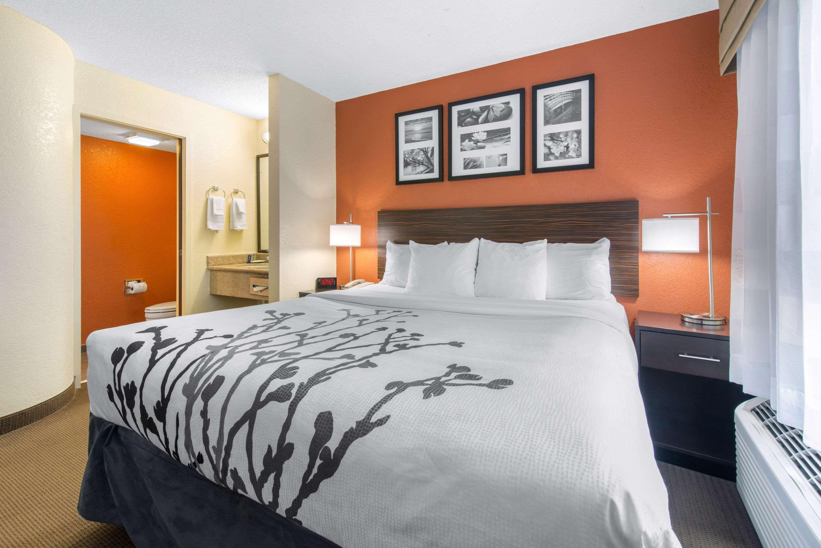 ROOM, KING BED