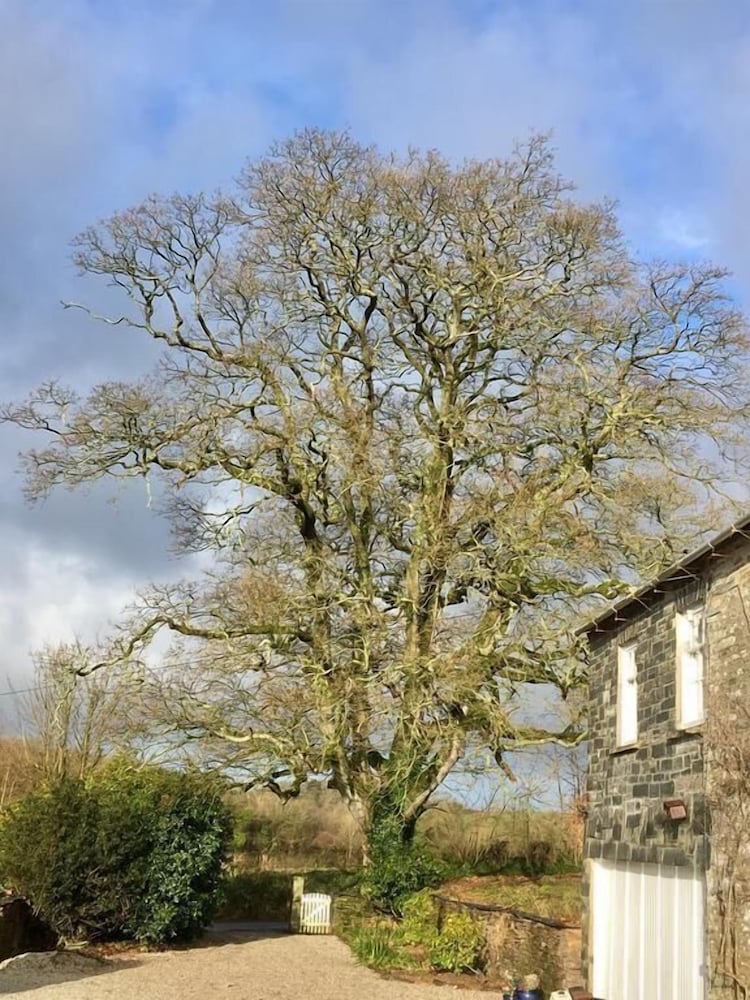 Park Farmhouse 27/32