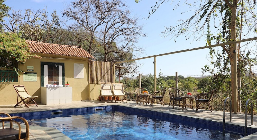 Asiatic Lion Lodge 17/50