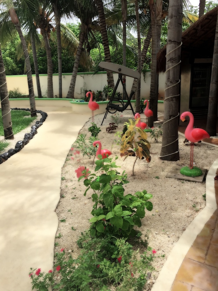 Villas Coco - Adults Only 25/38