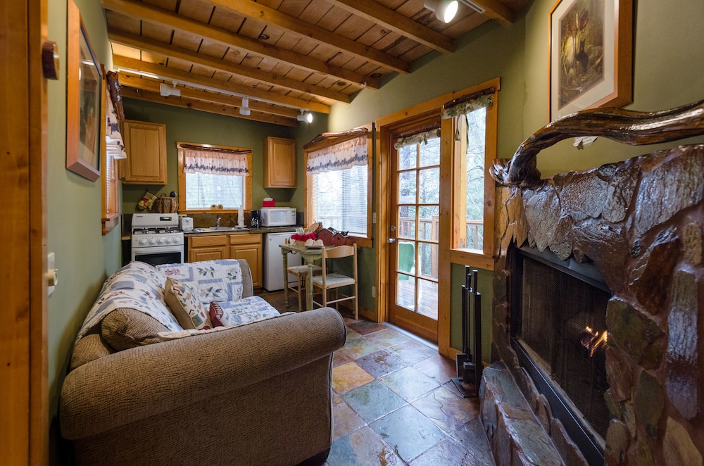 Idyllwild Bunkhouse 21/46