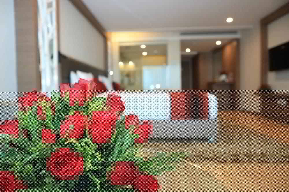 RADISSON UDAIPUR 33/69