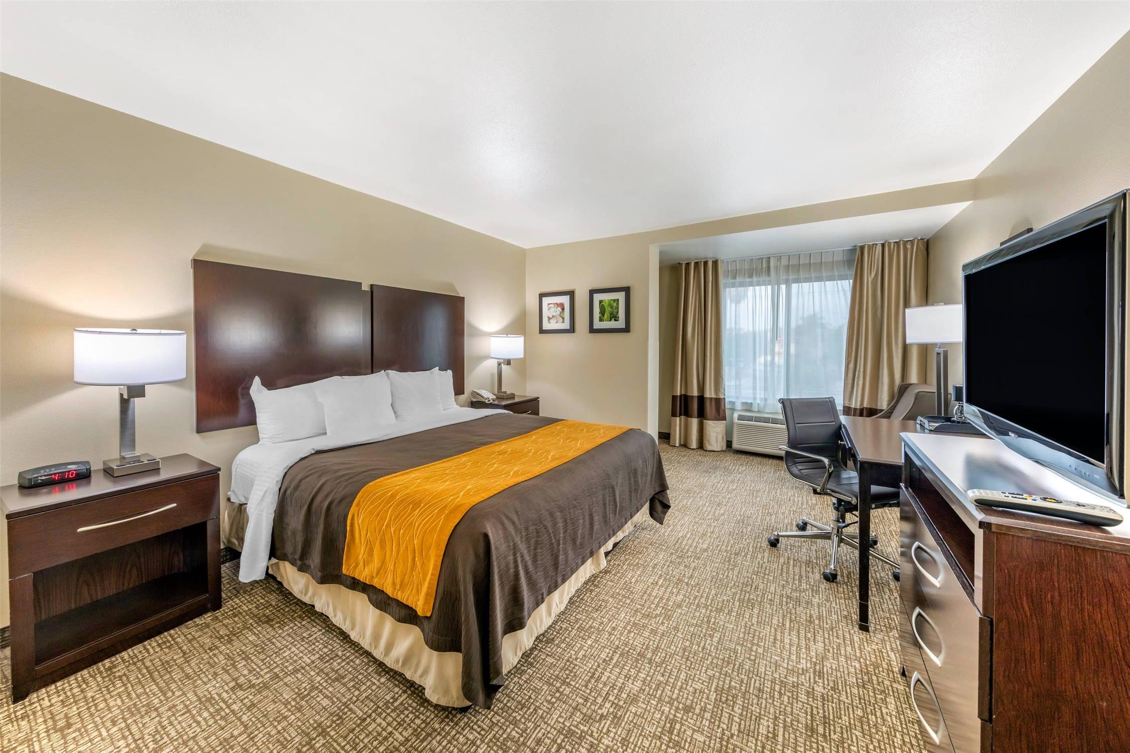 Room, King Bed