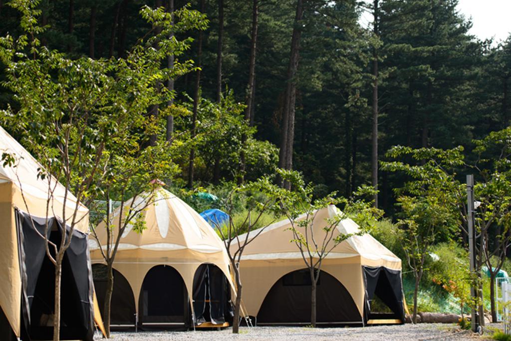 Gapyeong Animal Caravan Pension 25/37