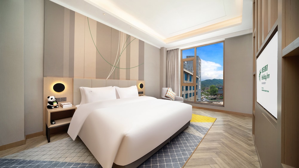 Holiday Inn Dujiangyan Ancient Town 13/50