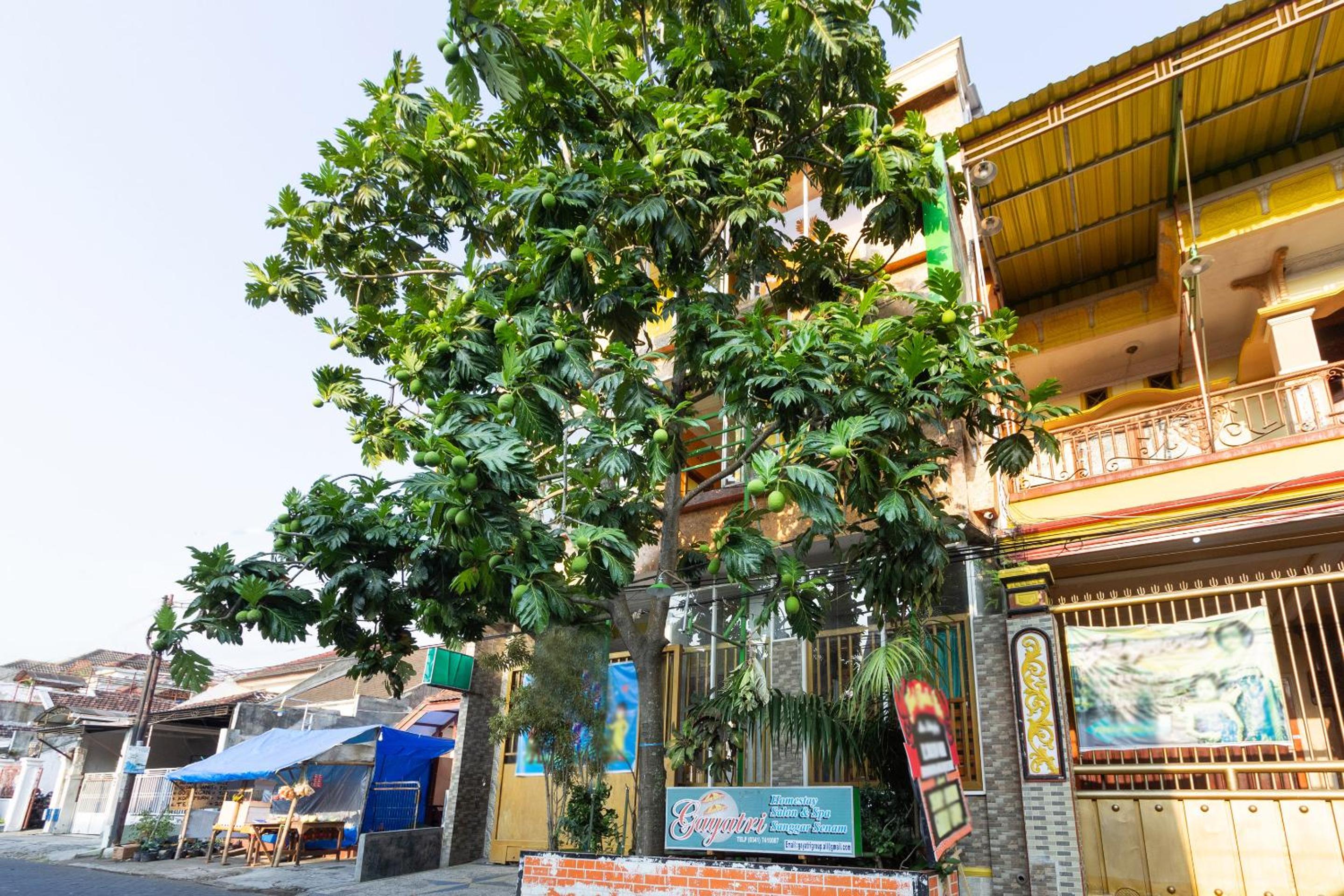 OYO 3727 Homestay Gayatri Sawojajar 4/57