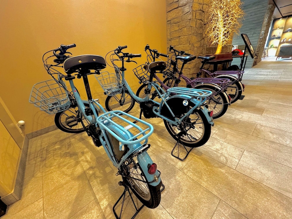Dormy Inn Express Gotemba Hot Springs 29/48
