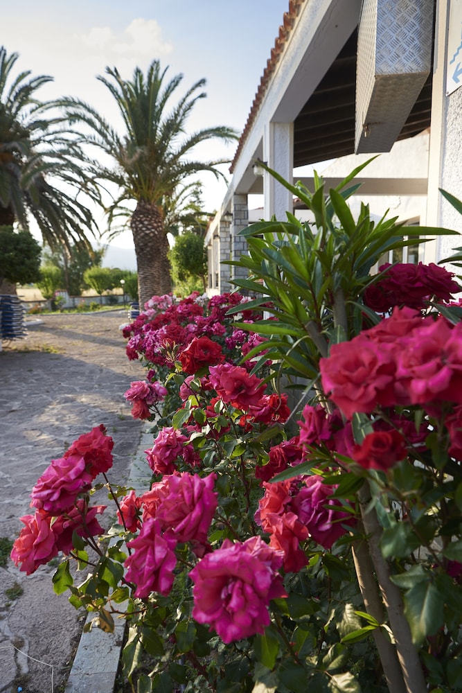 Kalloni Bay 43/50
