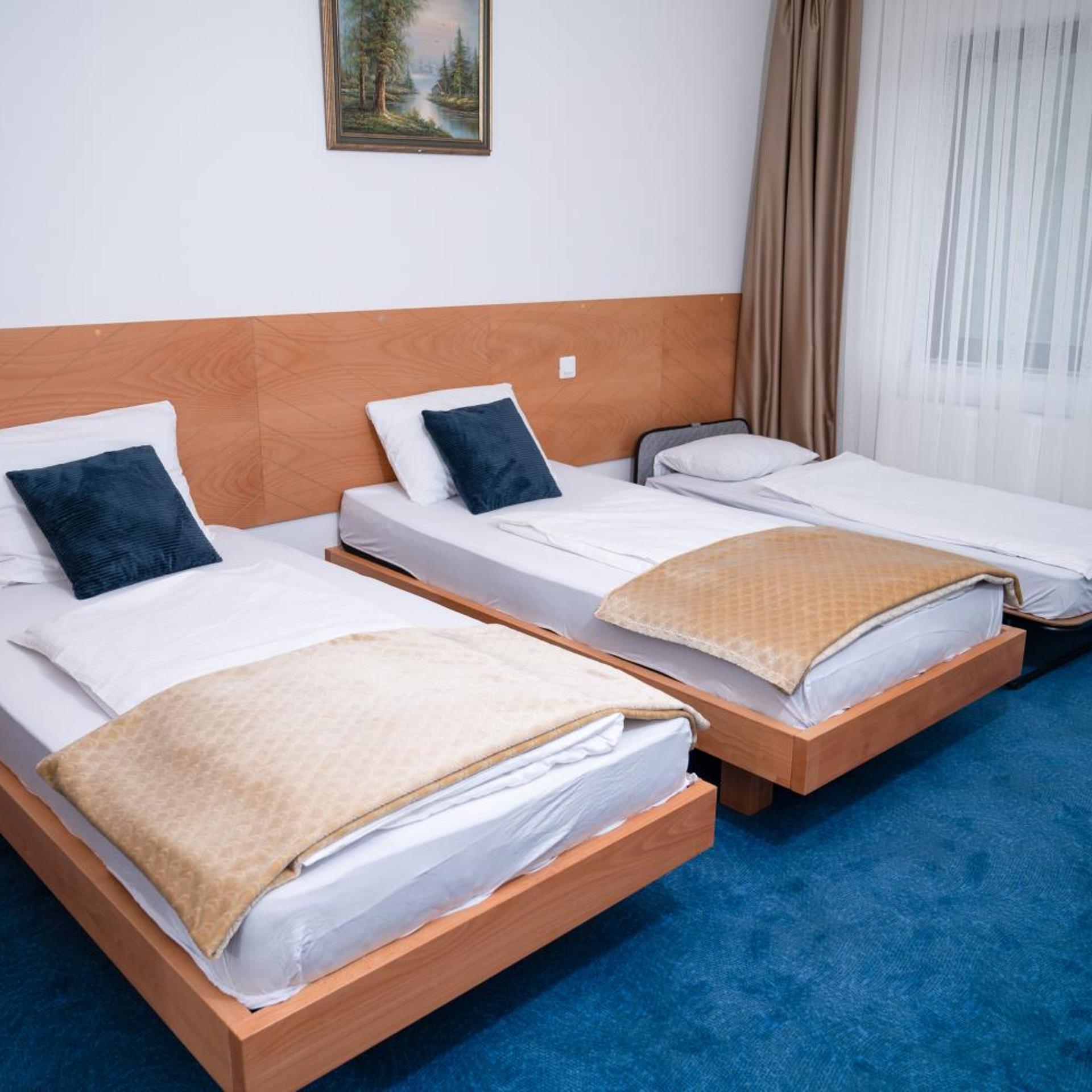 Borici Hotel-sjenica 8/54