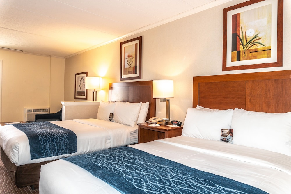 Comfort Inn Boardwalk 20/60