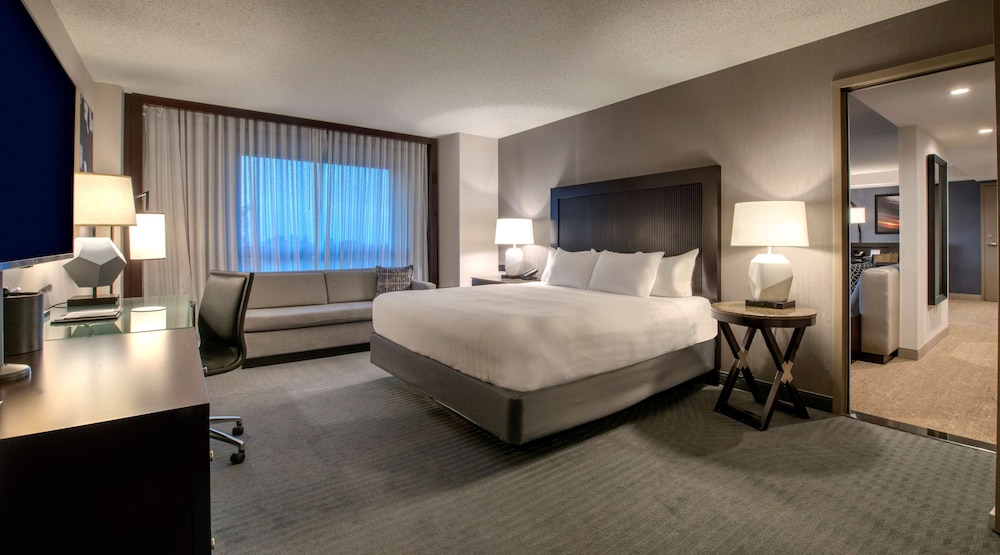 Hyatt Regency San Francisco Airport 28/79