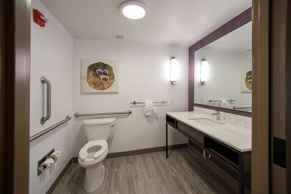 Hilton Garden Inn Rapid City 22/50