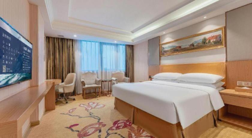 Vienna Hotel (Guangzhou Baiyun Airport Huadu Avenue) 31/58