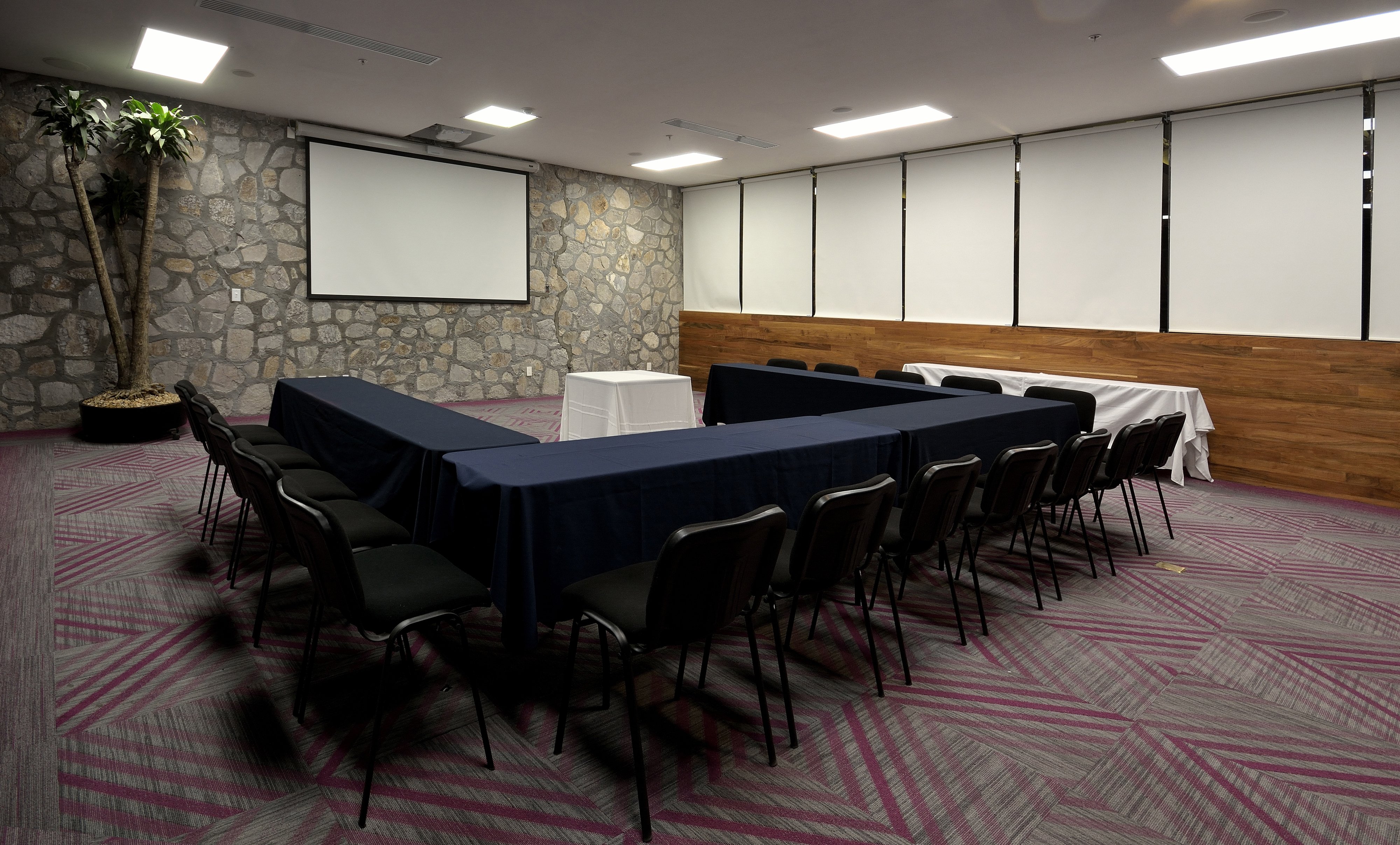 Holiday Inn Express Pachuca 54/57