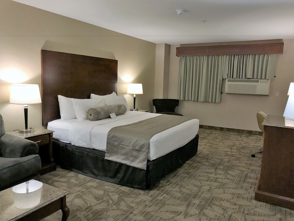Medallion Inn and Suites 10/46