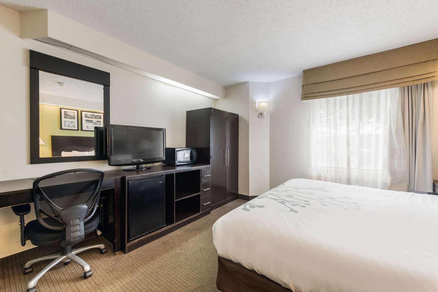 Studio6 Suites - Knoxville, TN - Downtown 16/35