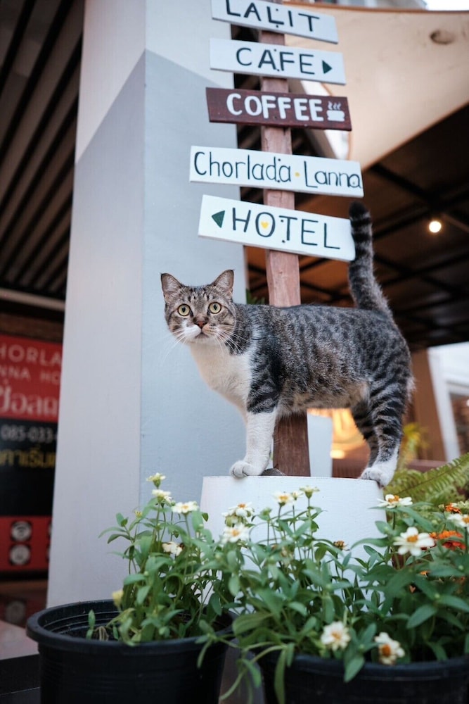 Chorlada Lanna Hotel 5/48