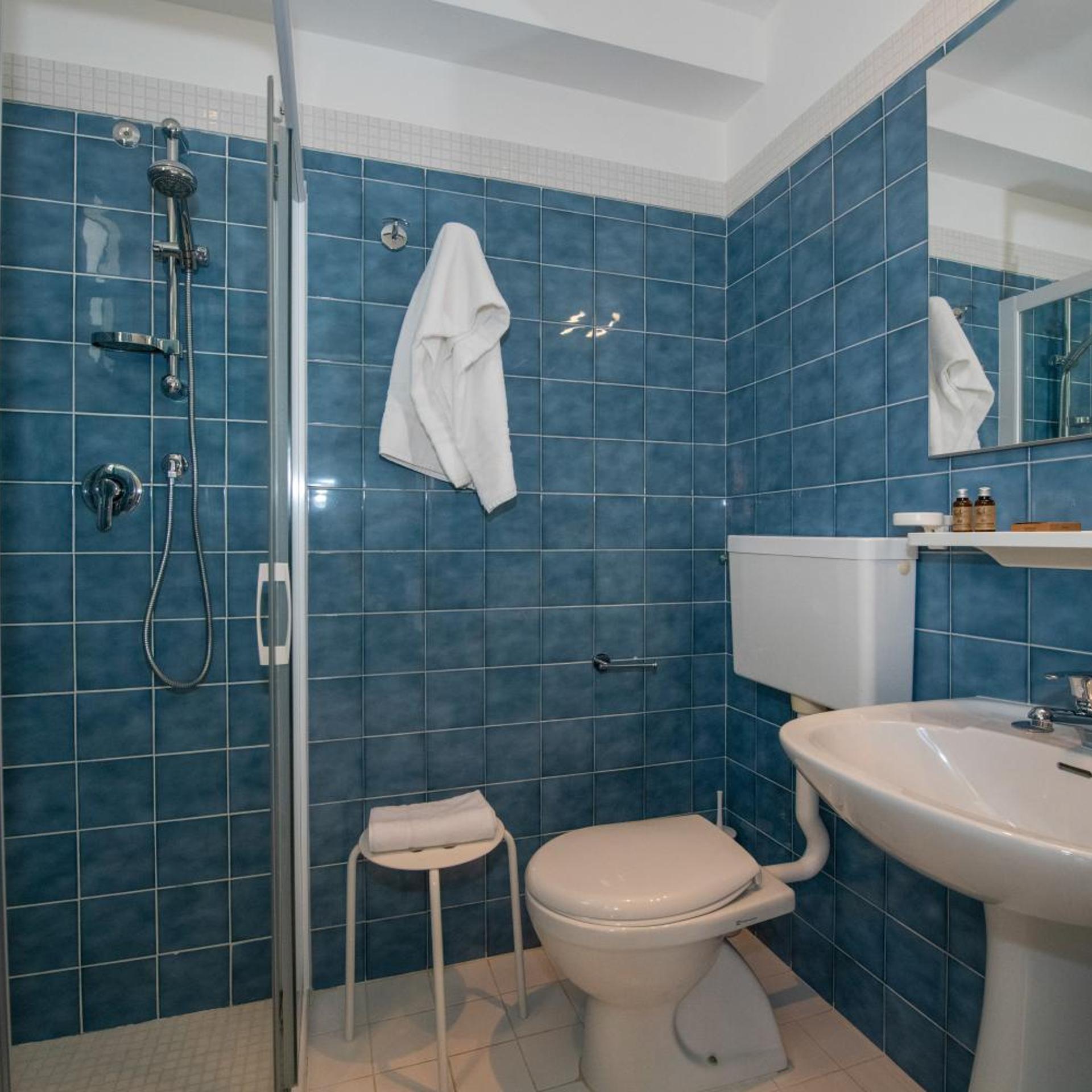 غرفة سوبيريور بسرير مزدوج، Hotel Delle Mimose 8/9