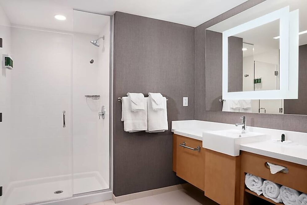 SpringHill Suites by Marriott Orlando Theme Parks/Lake Buena Vista 15/62