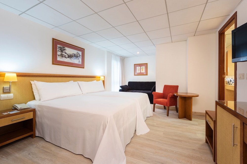 Tryp Vielha Baqueira 19/50