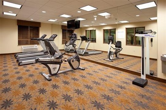 Holiday Inn Express Hotel & Suites Lamar 45/78