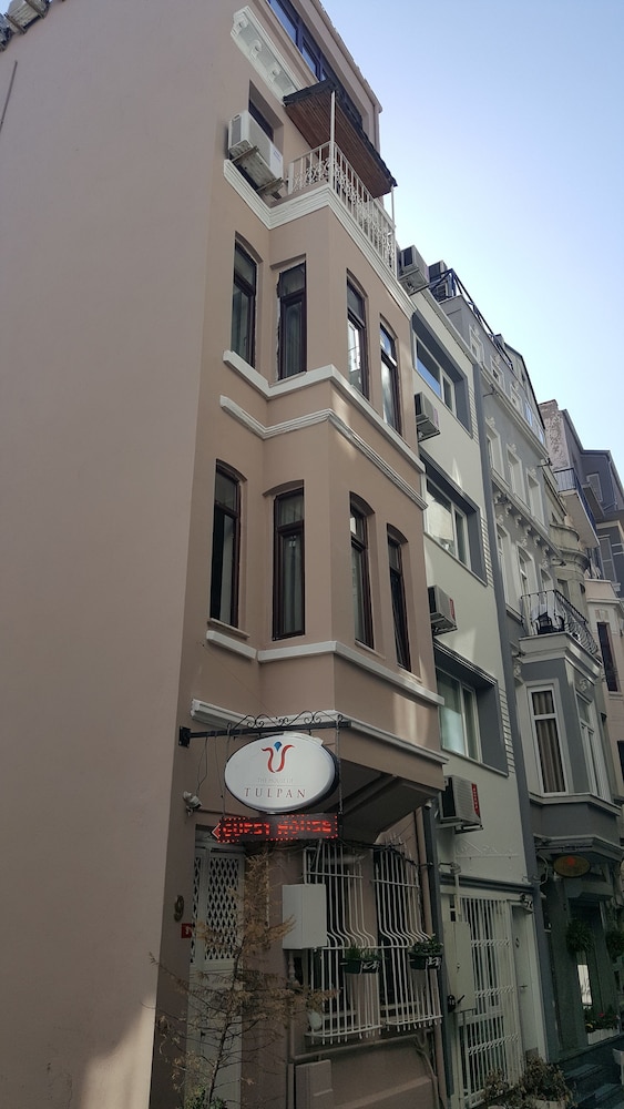 THE HOUSE OF TULPAN 2/34