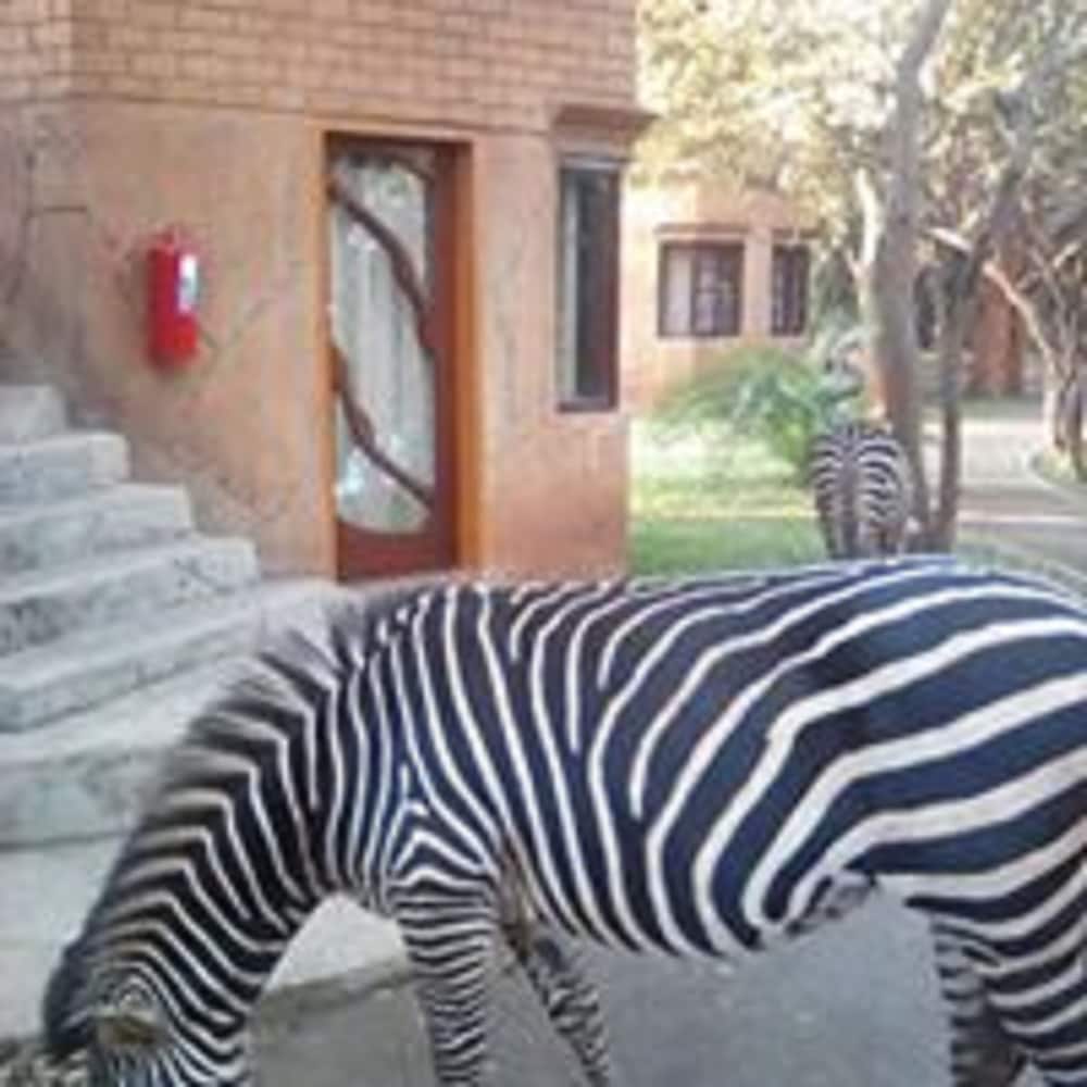 Kaazmein Lodge 26/27