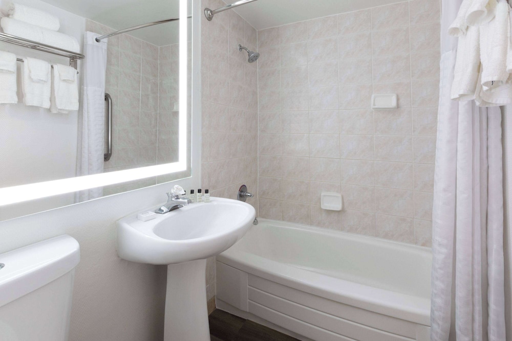 جناح جونيور بسرير كينج مع أريكة، Wyndham Garden Norfolk Downtown 7/10