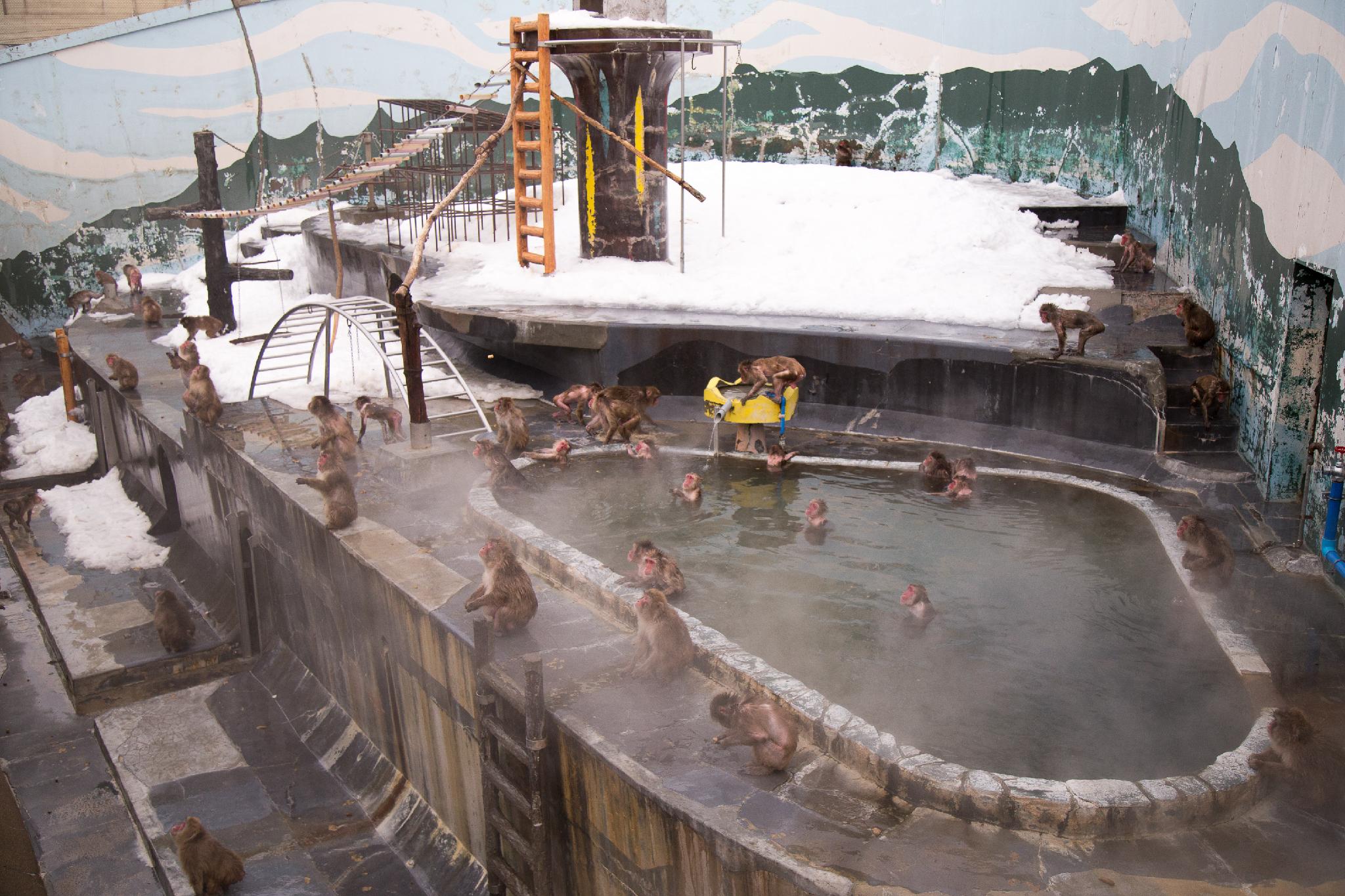 Yunokawa Onsen KKR Hakodate 25/47