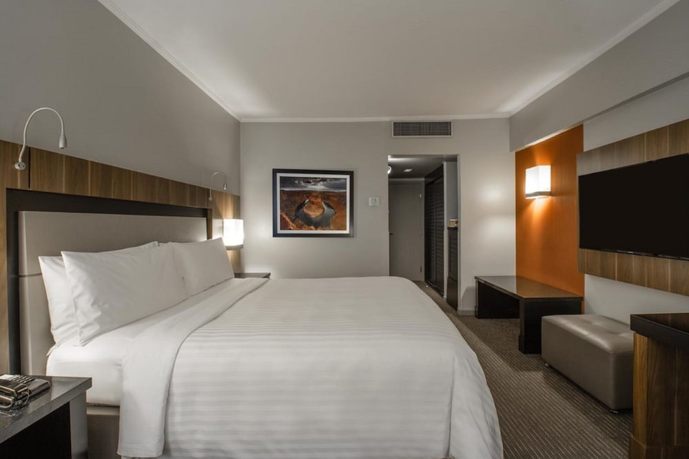 Sao Paulo Airport Marriott Hotel 22/73