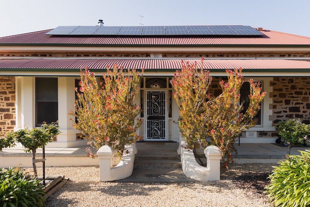 Barossa Shiraz Estate 45/50