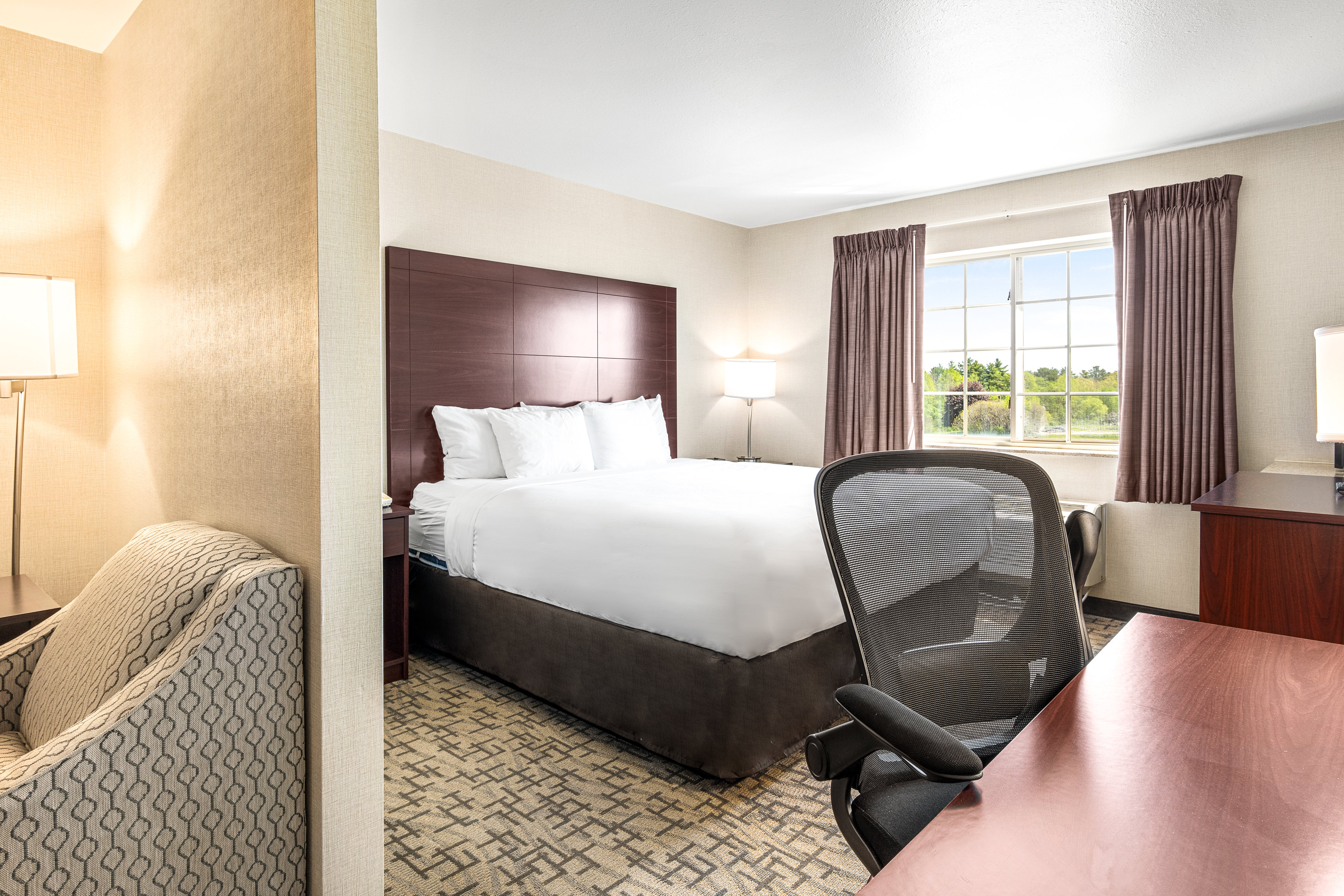 Boarders Inn Amp Suites 29/63