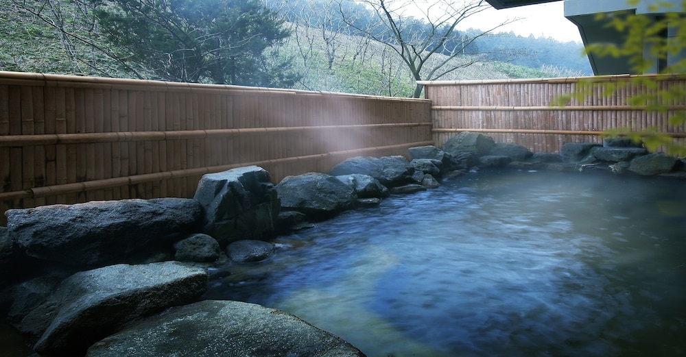 Hotel Kameya 18/50