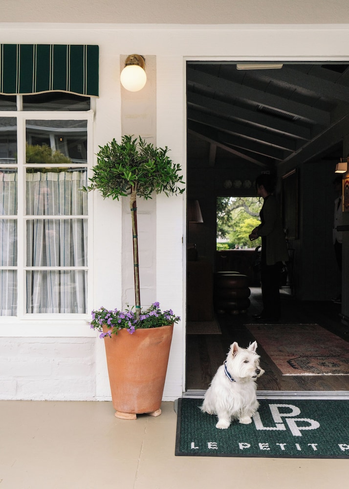 Le Petit Pali at Ocean Ave 8/50