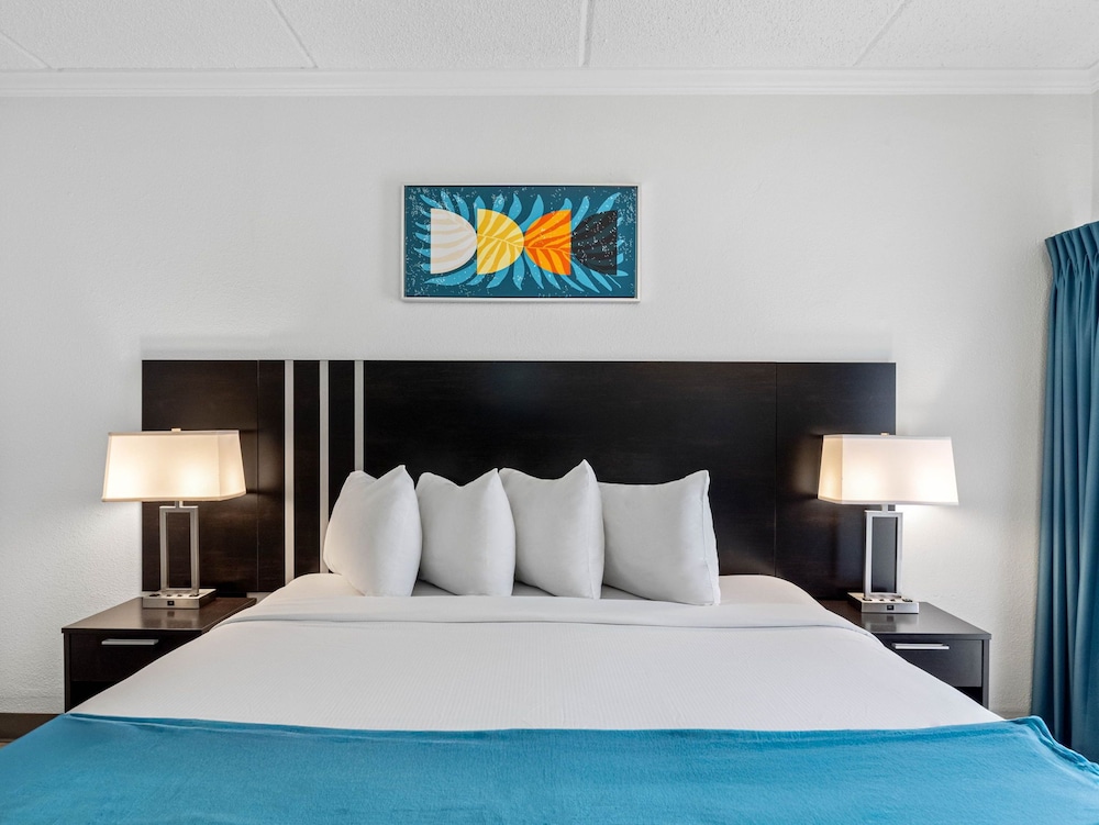 SUITE, KING BED