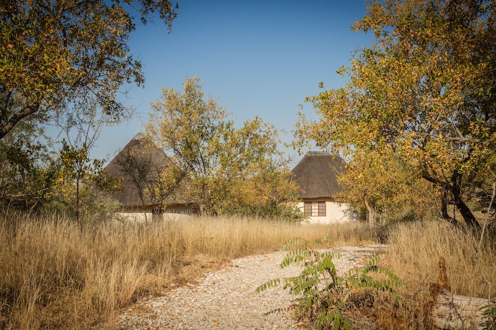 Mbizi Bush Lodge 31/50