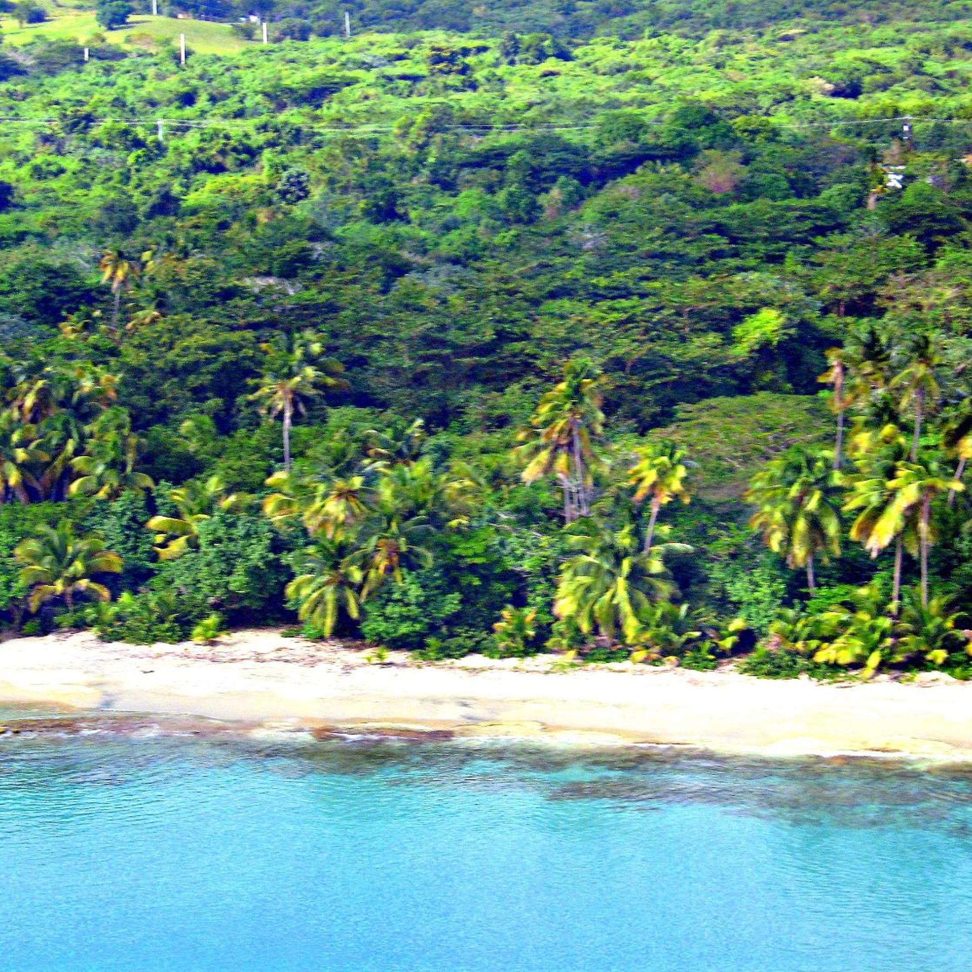 Blue Horizon Boutique Resort 48/53