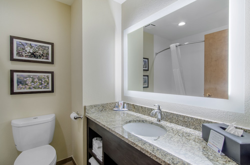Comfort Inn St. Robert / Fort Leonard Wood 12/30