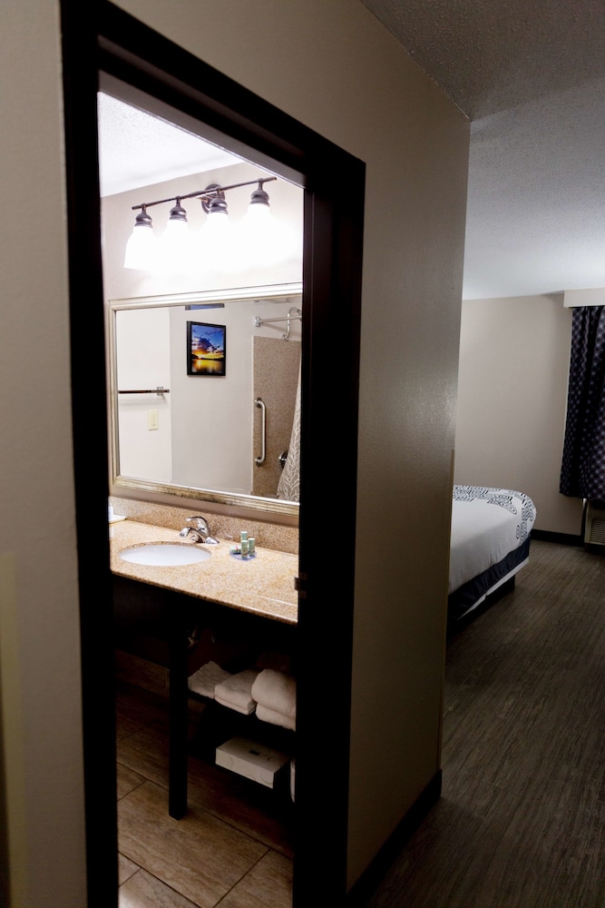 Best Western Executive Inn Battle Creek 41/46