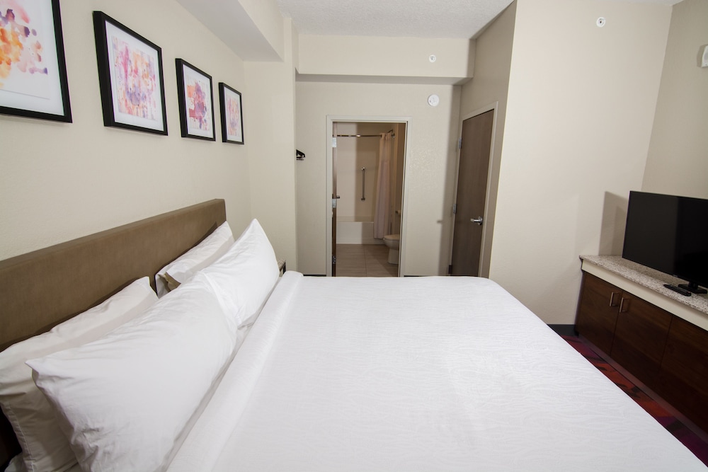 Hilton Garden Inn Tampa Suncoast Parkway 10/53