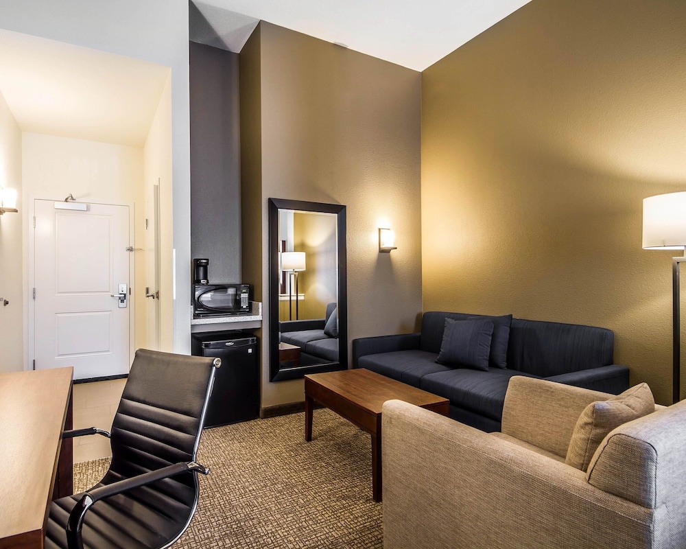 COMFORT SUITES WOODLAND - SACRAMENTO AIRPORT 25/46