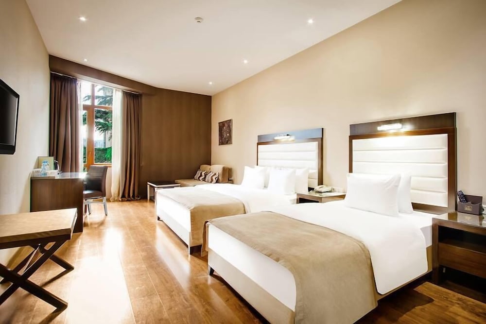 Hotel Orion Tbilisi 25/72