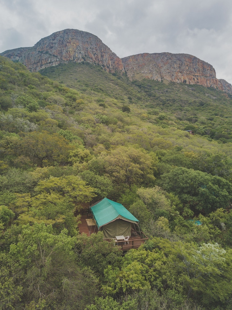 Amafu Forest Lodge 20/50