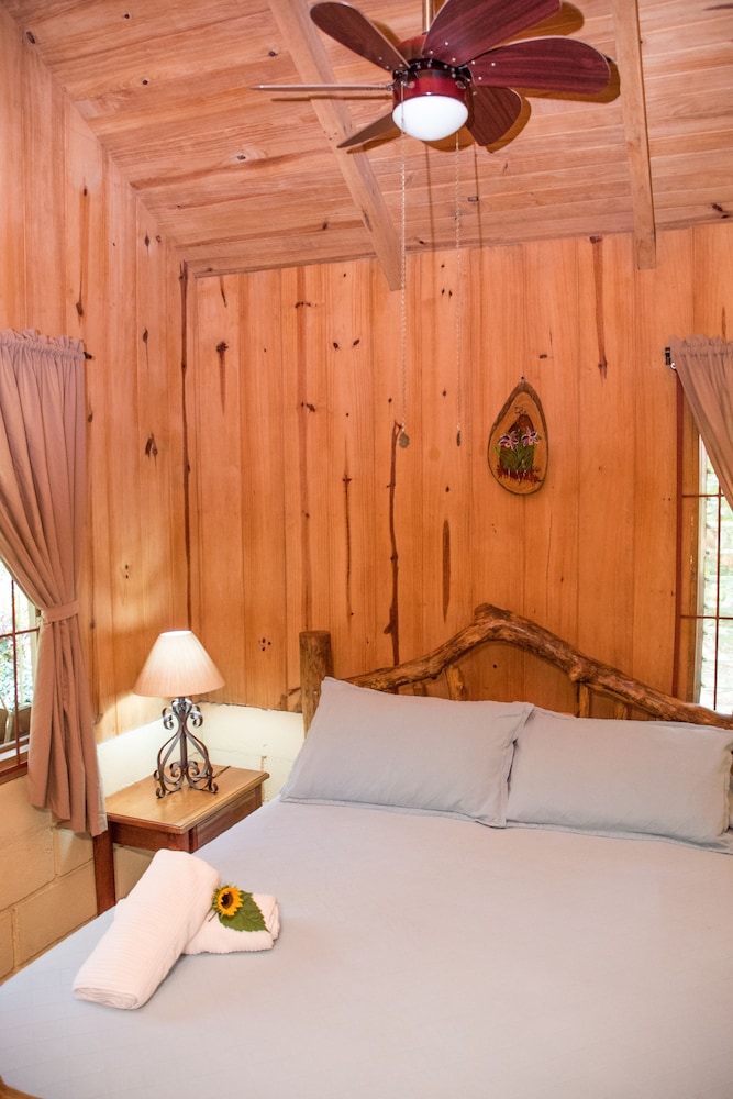 Arenal Oasis 16/50