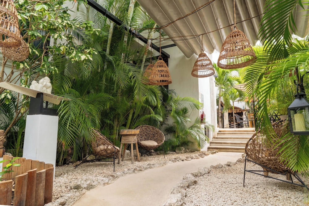 Mezcal Hostel 48/50