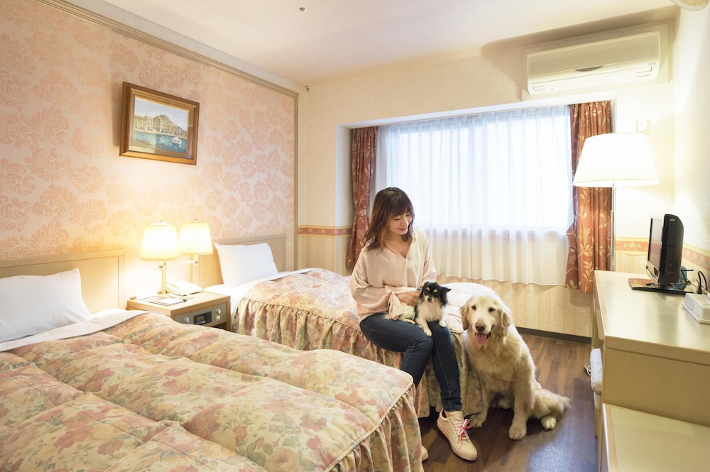 Izumigo Izukogen Dog Paradise Hotel 13/38