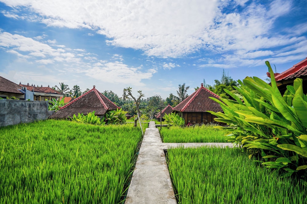Ubud Sawah Homestay 39/50