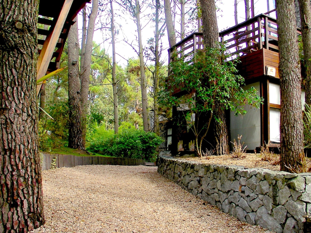 Altos Medanos - Cabanas y Club de Bosque 41/48